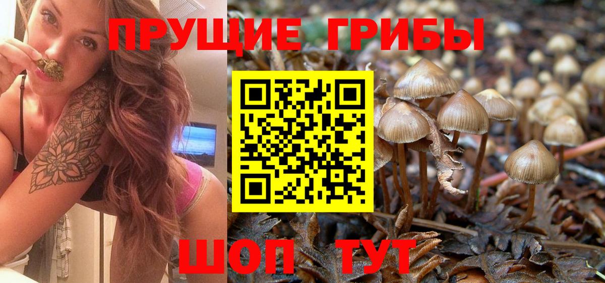Каннабис  А ПВП СК кристаллы  Алатырь  МЕФ кристаллы  ГАШИШ  Вход с VPN 