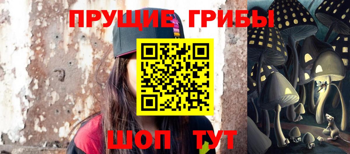 Галлюциногенные грибы MAGIC MUSHROOMS  Вход с VPN  хочу наркоту  Алатырь  Галлюциногенные грибы мицелий 